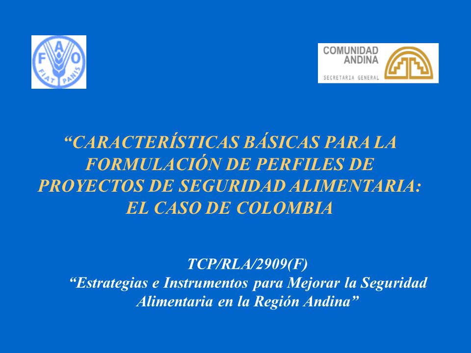 CARACTERÍSTICAS BÁSICAS PARA LA FORMULACIÓN DE PERFILES DE PROYECTOS DE SEGURIDAD ALIMENTARIA: