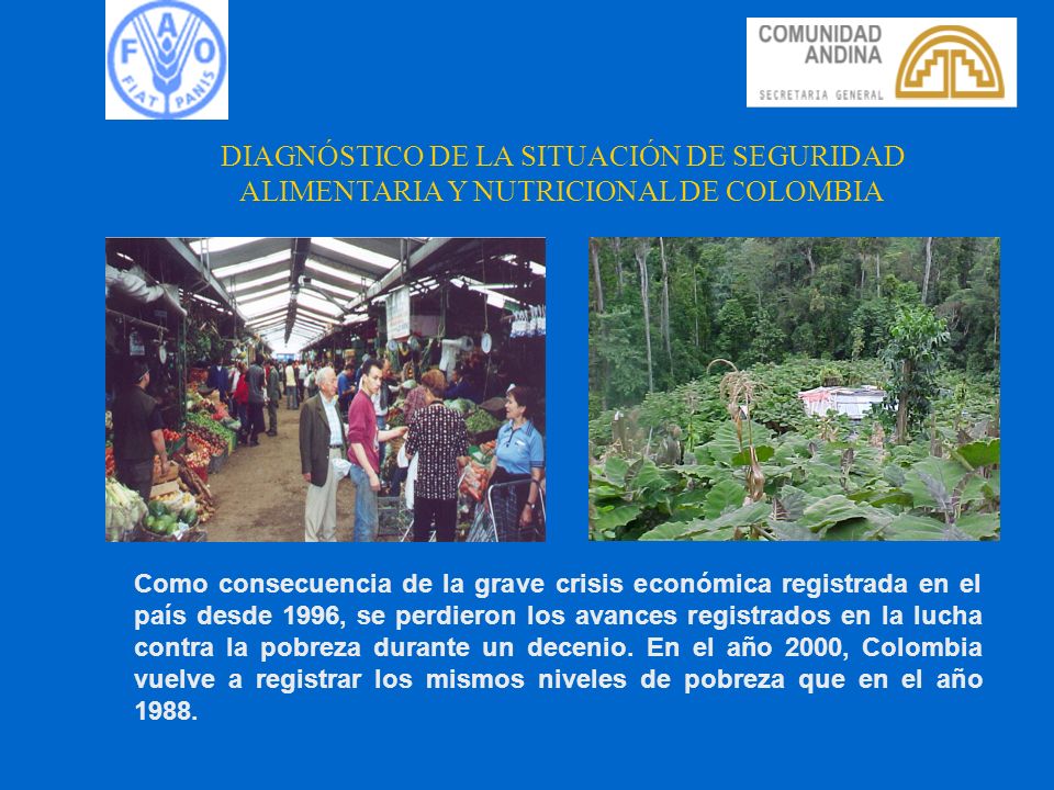 DIAGNÓSTICO DE LA SITUACIÓN DE SEGURIDAD ALIMENTARIA Y NUTRICIONAL DE COLOMBIA