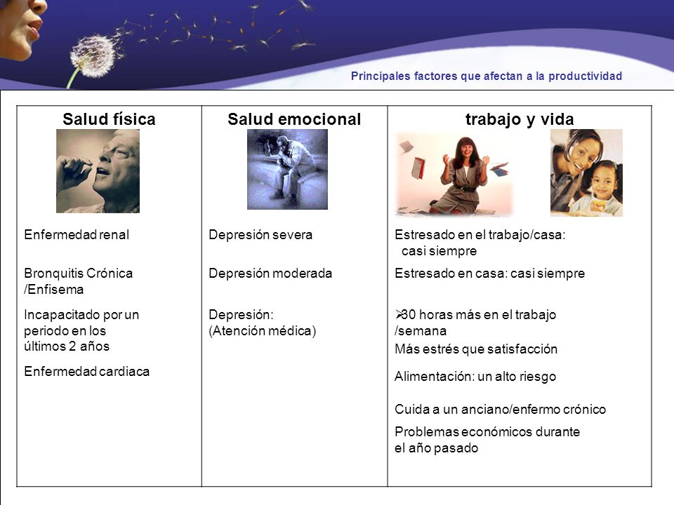Principales factores que afectan a la productividad