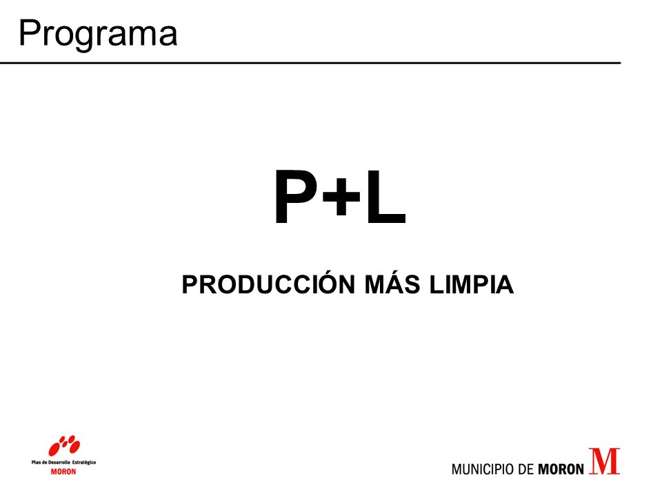 Programa P+L PRODUCCIÓN MÁS LIMPIA