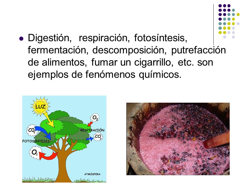 Digestión, respiración, fotosíntesis, fermentación, descomposición, putrefacción de alimentos, fumar un cigarrillo, etc.