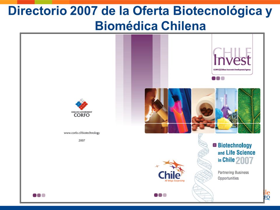 Directorio 2007 de la Oferta Biotecnológica y Biomédica Chilena