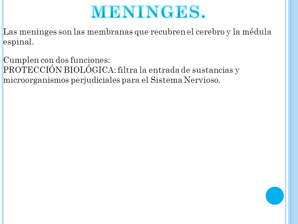 MENINGES. Las meninges son las membranas que recubren el cerebro y la médula espinal. Cumplen con dos funciones: