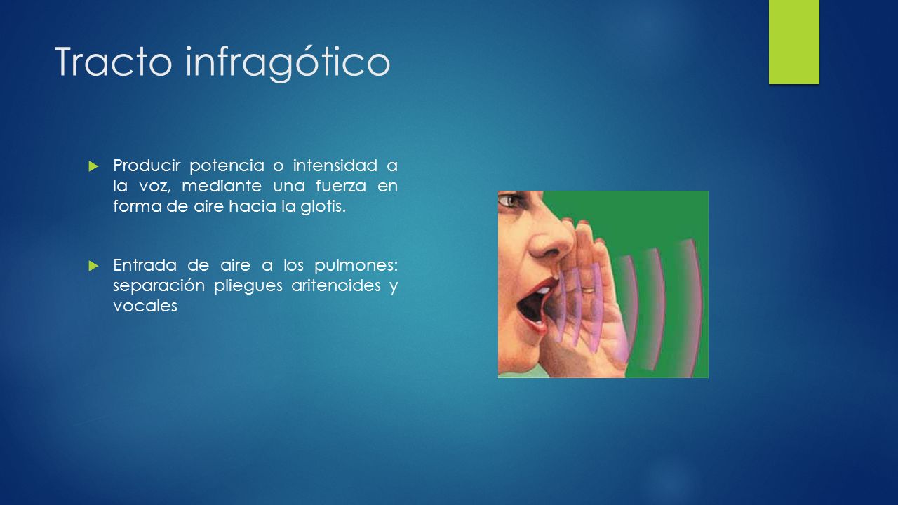 Tracto infragótico Producir potencia o intensidad a la voz, mediante una fuerza en forma de aire hacia la glotis.