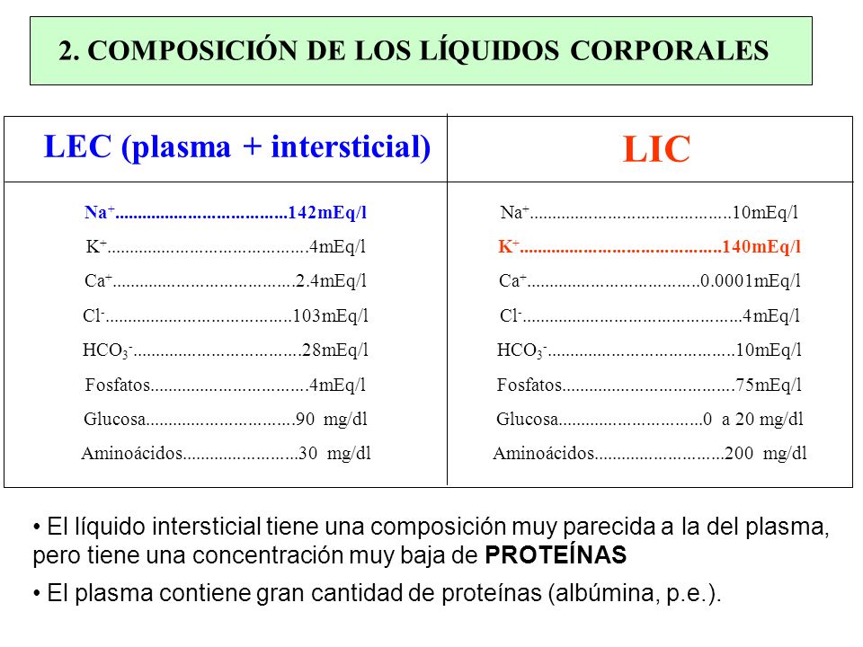 2. COMPOSICIÓN DE LOS LÍQUIDOS CORPORALES LEC (plasma + intersticial)