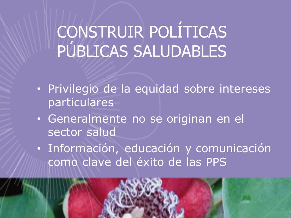 CONSTRUIR POLÍTICAS PÚBLICAS SALUDABLES