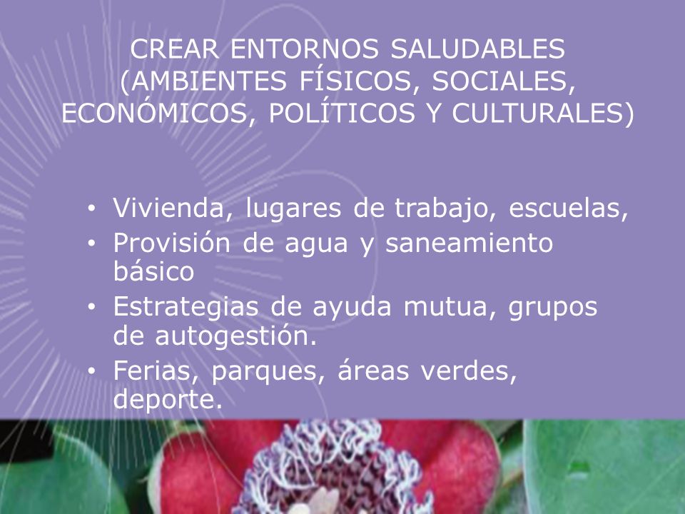 CREAR ENTORNOS SALUDABLES (AMBIENTES FÍSICOS, SOCIALES, ECONÓMICOS, POLÍTICOS Y CULTURALES)