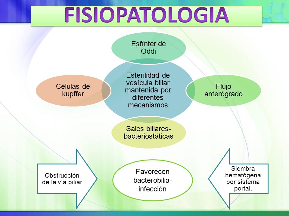 FISIOPATOLOGIA Esterilidad de vesícula biliar mantenida por diferentes mecanismos. Esfínter de Oddi.