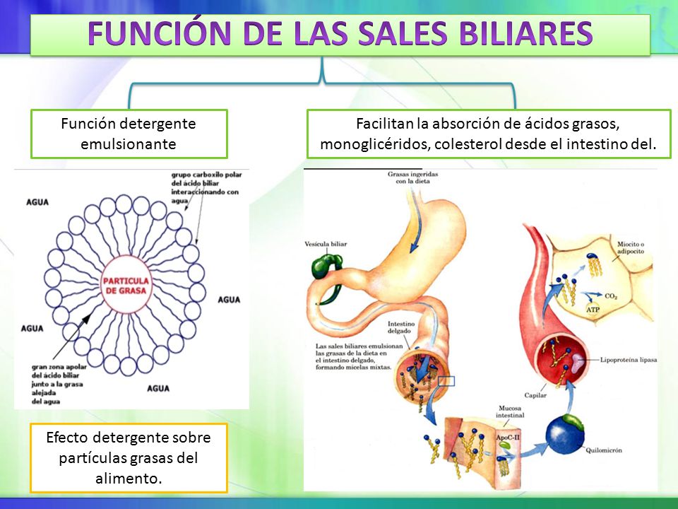 UNIVERSIDAD LIBRE CALI. - ppt descargar