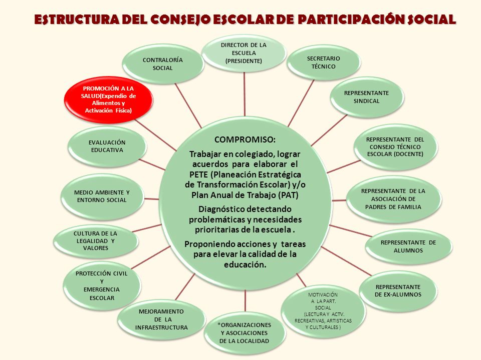 ESTRUCTURA DEL CONSEJO ESCOLAR DE PARTICIPACIÓN SOCIAL