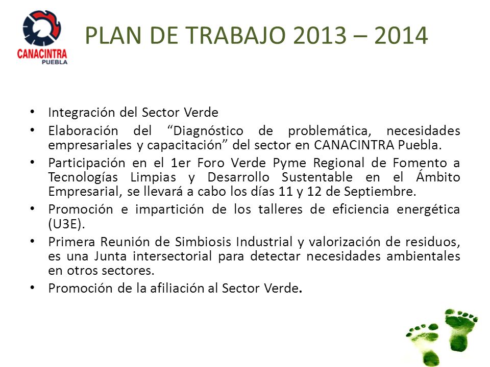 PLAN DE TRABAJO 2013 – 2014 Integración del Sector Verde