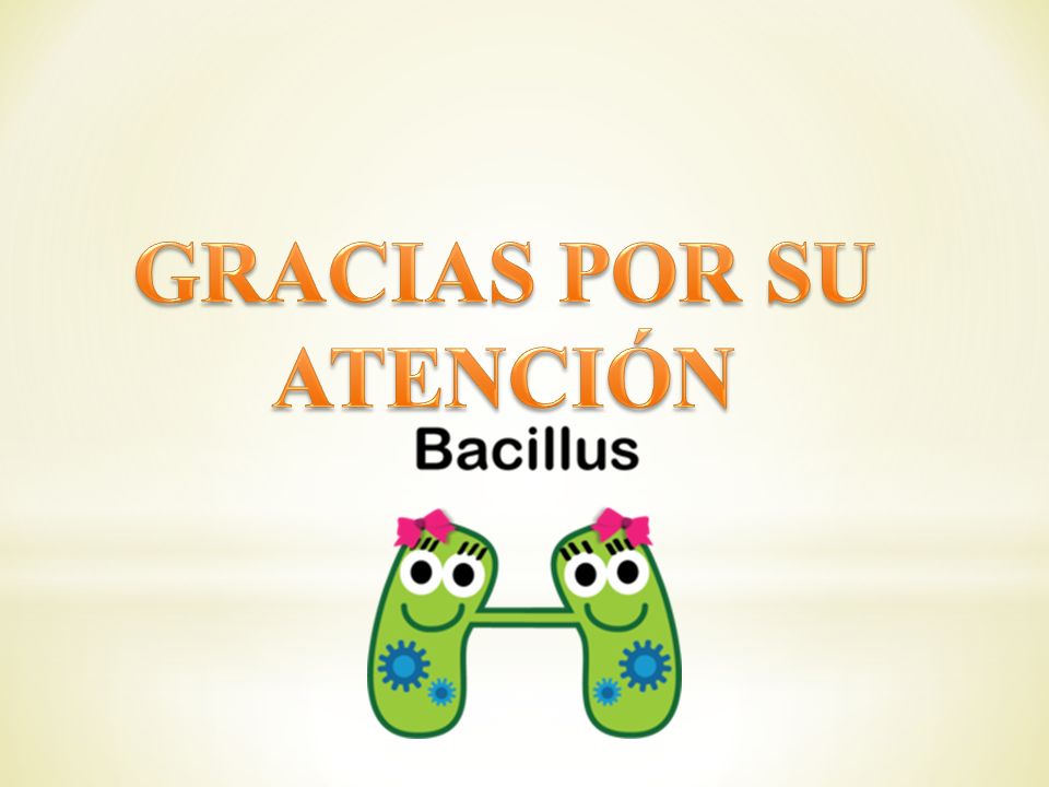 GRACIAS POR SU ATENCIÓN