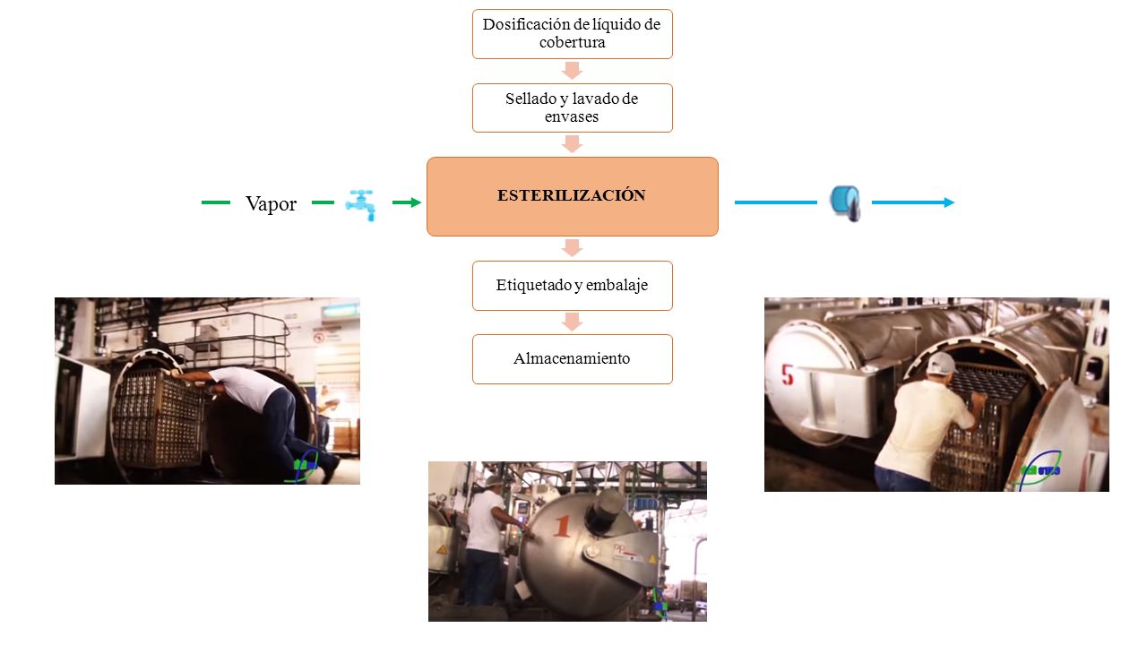 Vapor Dosificación de líquido de cobertura Sellado y lavado de envases