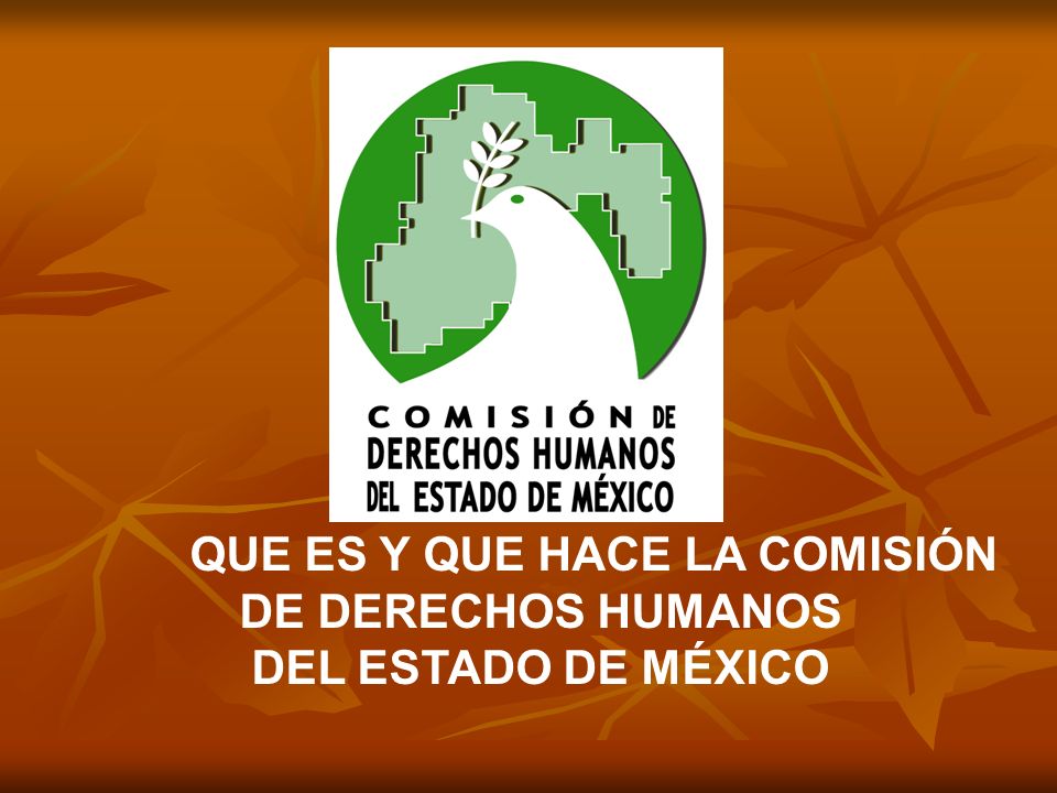 QUE ES Y QUE HACE LA COMISIÓN DE DERECHOS HUMANOS
