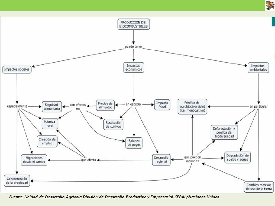 Fuente: Unidad de Desarrollo Agrícola División de Desarrollo Productivo y Empresarial-CEPAL/Naciones Unidas