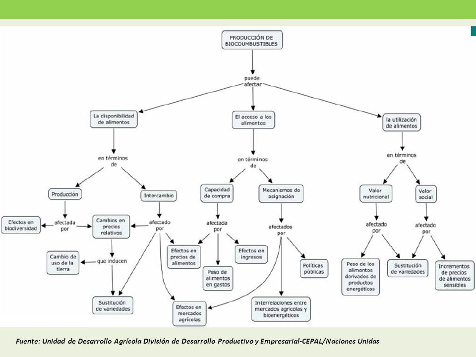 Fuente: Unidad de Desarrollo Agrícola División de Desarrollo Productivo y Empresarial-CEPAL/Naciones Unidas