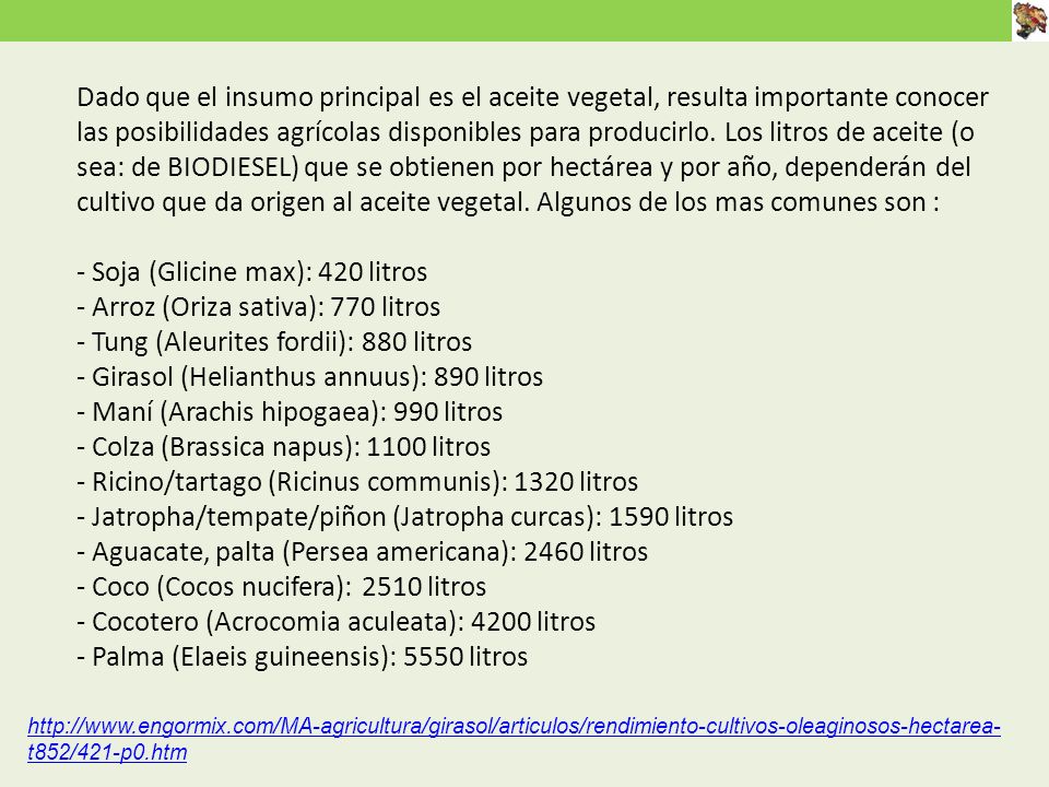 Dado que el insumo principal es el aceite vegetal, resulta importante conocer las posibilidades agrícolas disponibles para producirlo. Los litros de aceite (o sea: de BIODIESEL) que se obtienen por hectárea y por año, dependerán del cultivo que da origen al aceite vegetal. Algunos de los mas comunes son : - Soja (Glicine max): 420 litros - Arroz (Oriza sativa): 770 litros - Tung (Aleurites fordii): 880 litros - Girasol (Helianthus annuus): 890 litros - Maní (Arachis hipogaea): 990 litros - Colza (Brassica napus): 1100 litros - Ricino/tartago (Ricinus communis): 1320 litros - Jatropha/tempate/piñon (Jatropha curcas): 1590 litros - Aguacate, palta (Persea americana): 2460 litros - Coco (Cocos nucifera): 2510 litros - Cocotero (Acrocomia aculeata): 4200 litros - Palma (Elaeis guineensis): 5550 litros