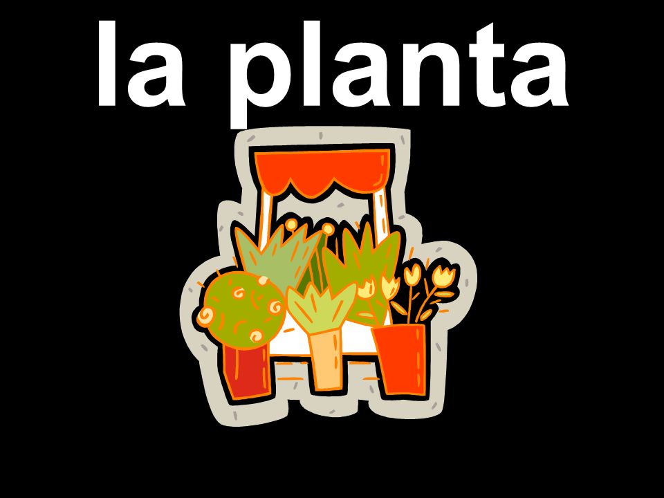 la planta