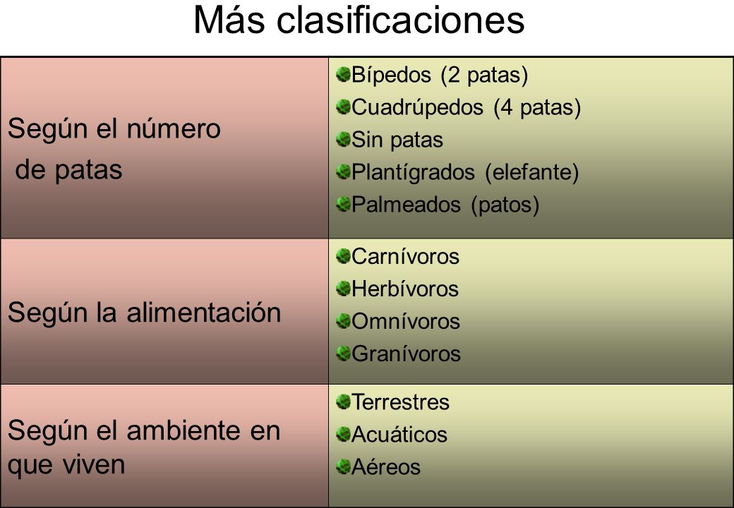 Más clasificaciones Según el número de patas Según la alimentación