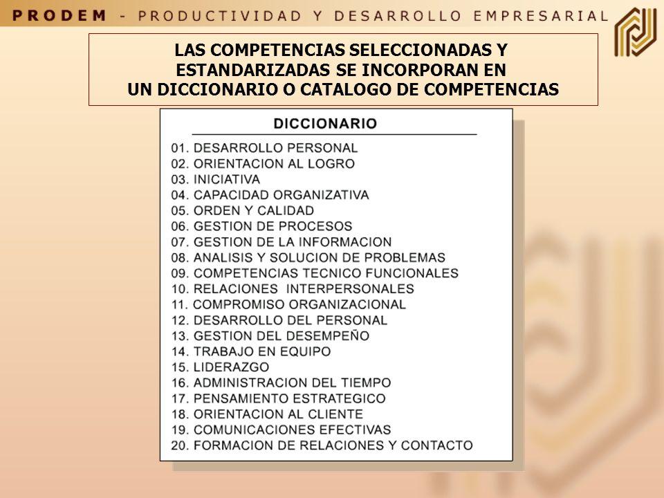 LAS COMPETENCIAS SELECCIONADAS Y ESTANDARIZADAS SE INCORPORAN EN
