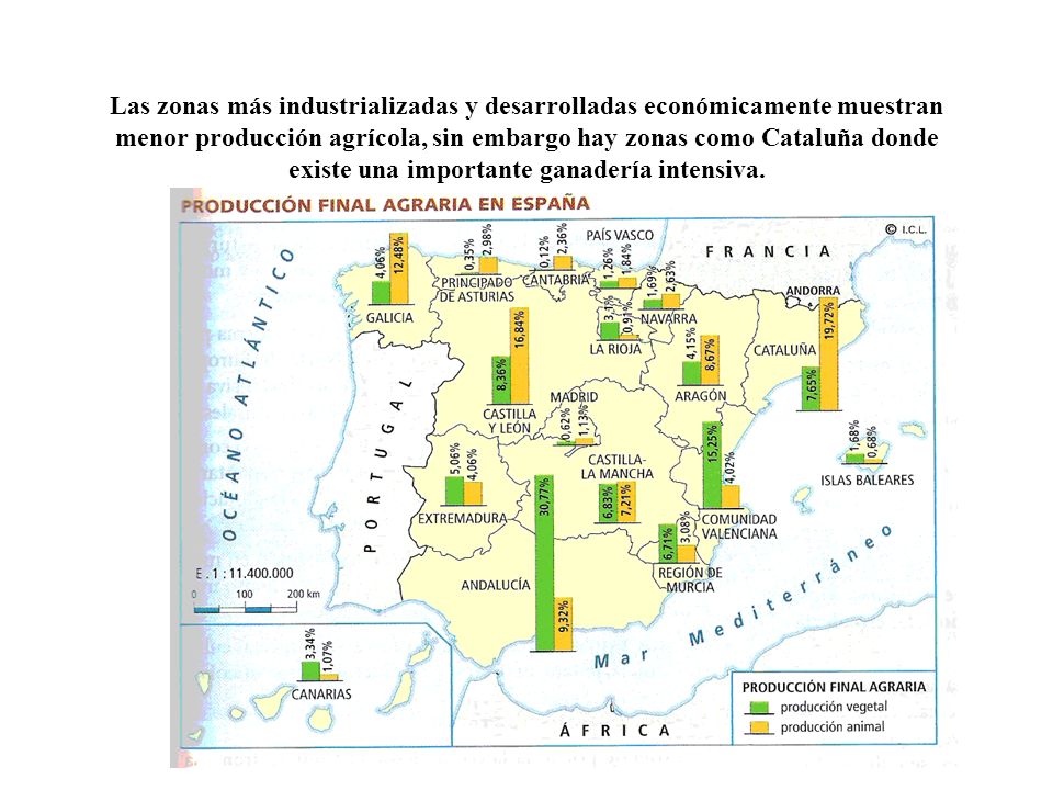 Las zonas más industrializadas y desarrolladas económicamente muestran menor producción agrícola, sin embargo hay zonas como Cataluña donde existe una importante ganadería intensiva.