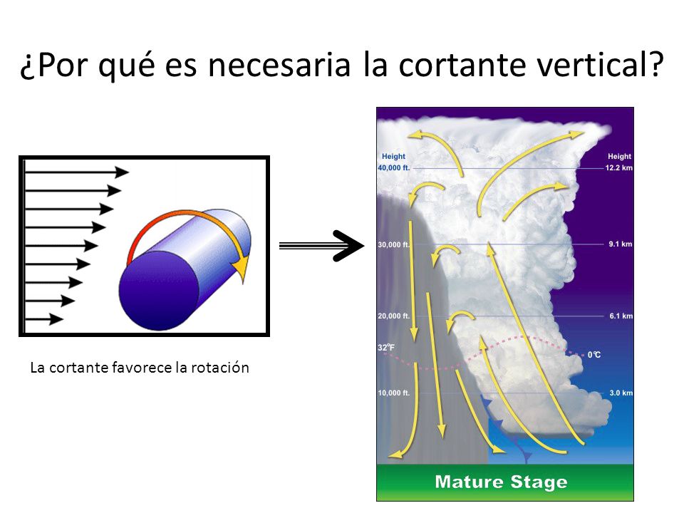 ¿Por qué es necesaria la cortante vertical