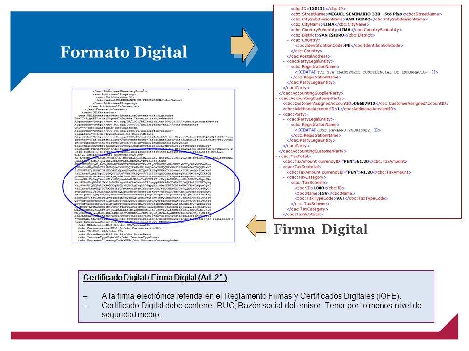 Formato Digital Firma Digital