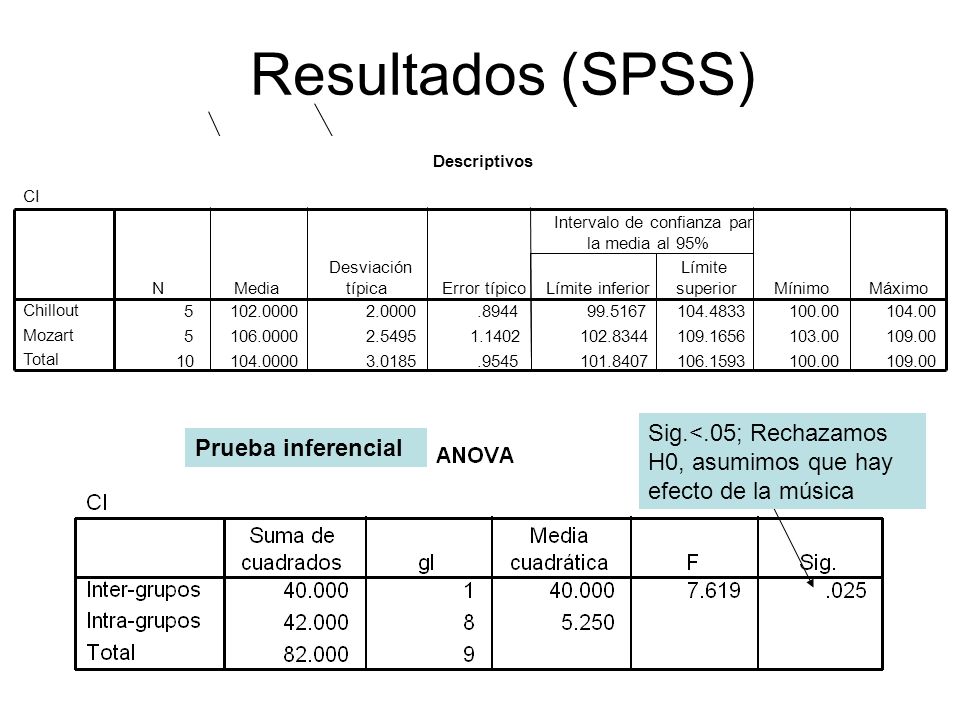 Resultados (SPSS) Descriptivos. CI