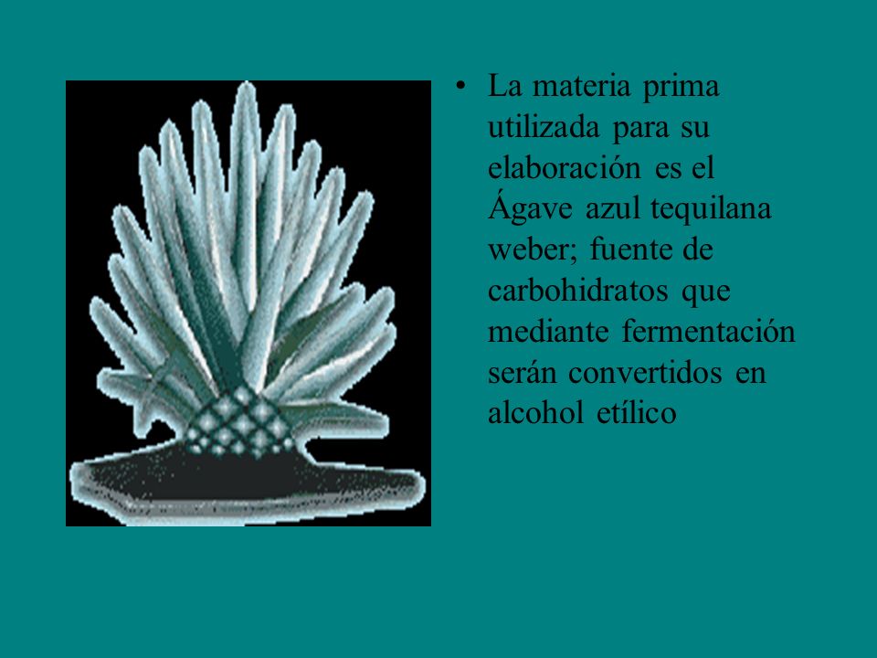 La materia prima utilizada para su elaboración es el Ágave azul tequilana weber; fuente de carbohidratos que mediante fermentación serán convertidos en alcohol etílico