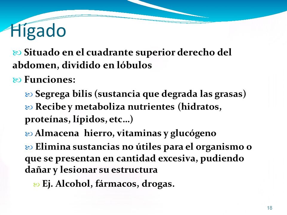 Hígado  Situado en el cuadrante superior derecho del abdomen, dividido en lóbulos.  Funciones: