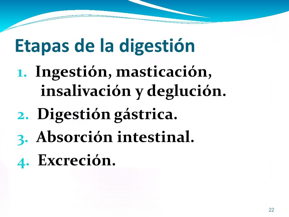 Etapas de la digestión 1. Ingestión, masticación, insalivación y deglución. 2. Digestión gástrica.