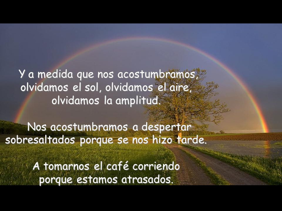 Y a medida que nos acostumbramos, olvidamos el sol, olvidamos el aire, olvidamos la amplitud.