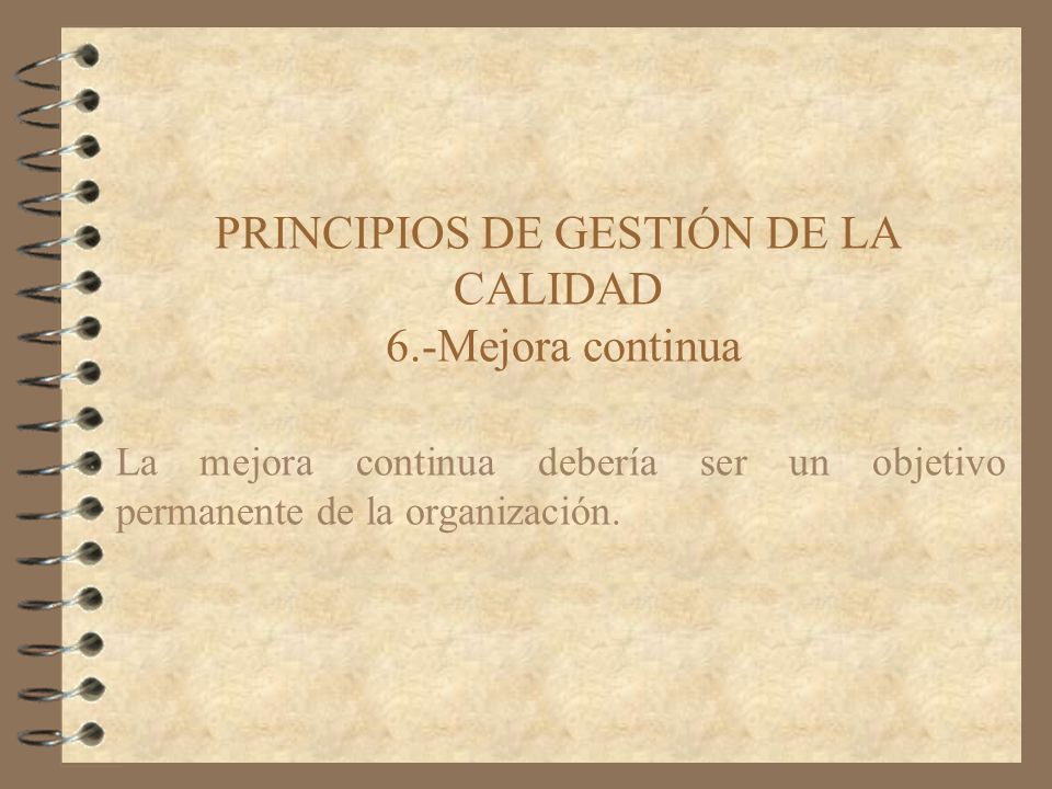 PRINCIPIOS DE GESTIÓN DE LA CALIDAD 6.-Mejora continua