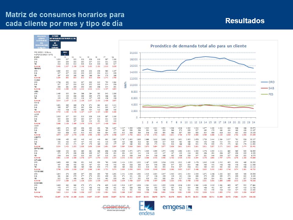 Matriz de consumos horarios para cada cliente por mes y tipo de día
