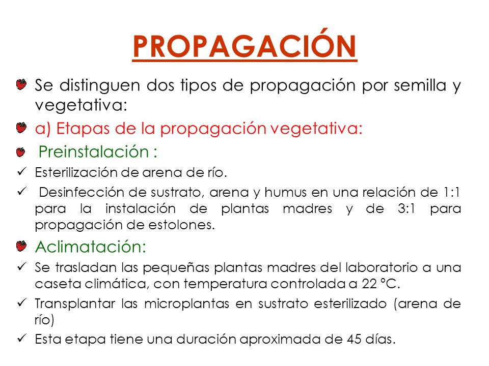 PROPAGACIÓN Se distinguen dos tipos de propagación por semilla y vegetativa: a) Etapas de la propagación vegetativa: