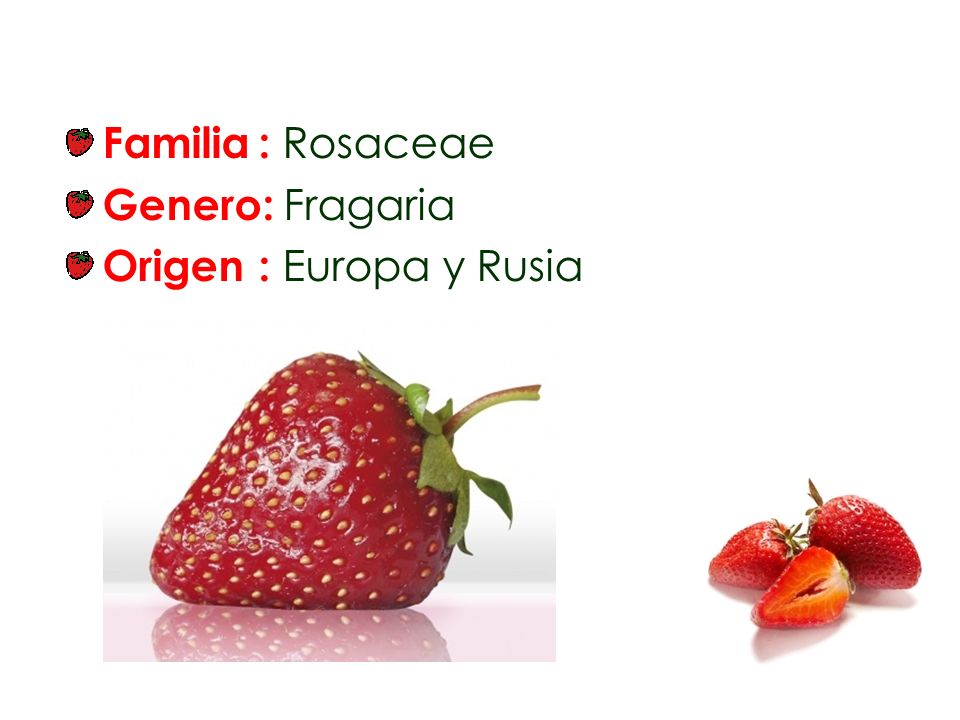 Familia : Rosaceae Genero: Fragaria Origen : Europa y Rusia