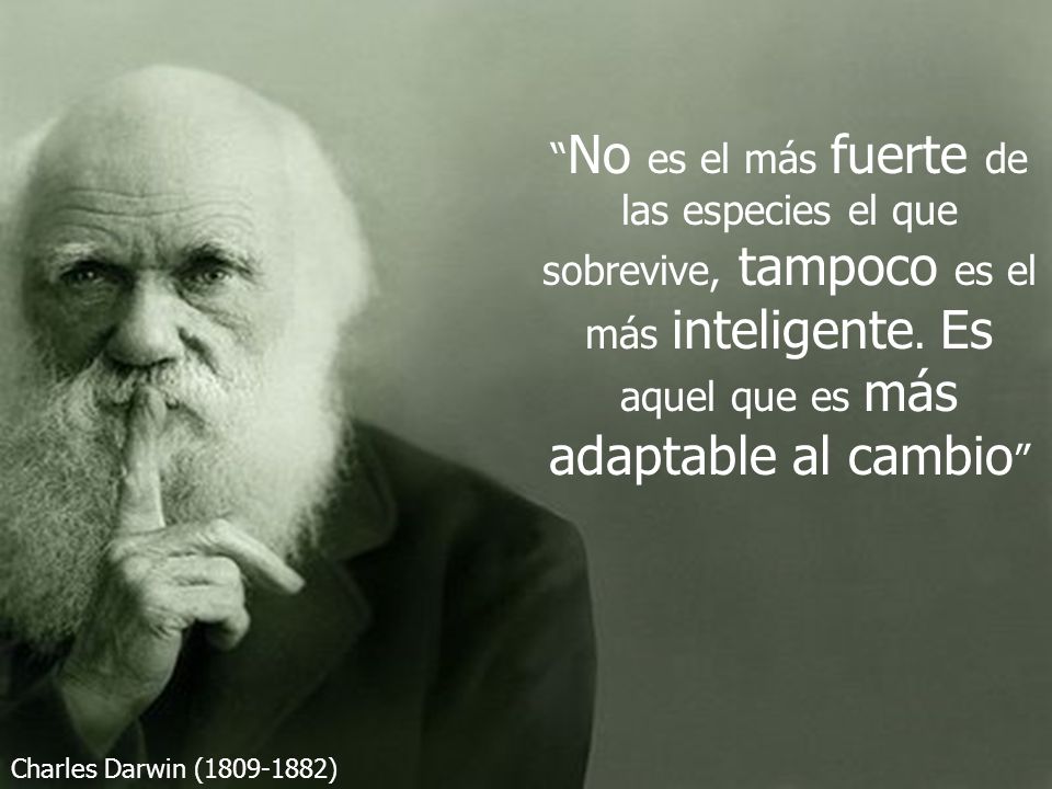 No es el más fuerte de las especies el que sobrevive, tampoco es el más inteligente. Es aquel que es más adaptable al cambio