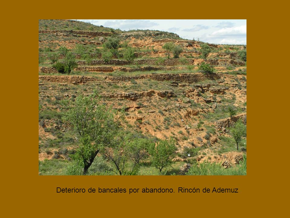 Deterioro de bancales por abandono. Rincón de Ademuz
