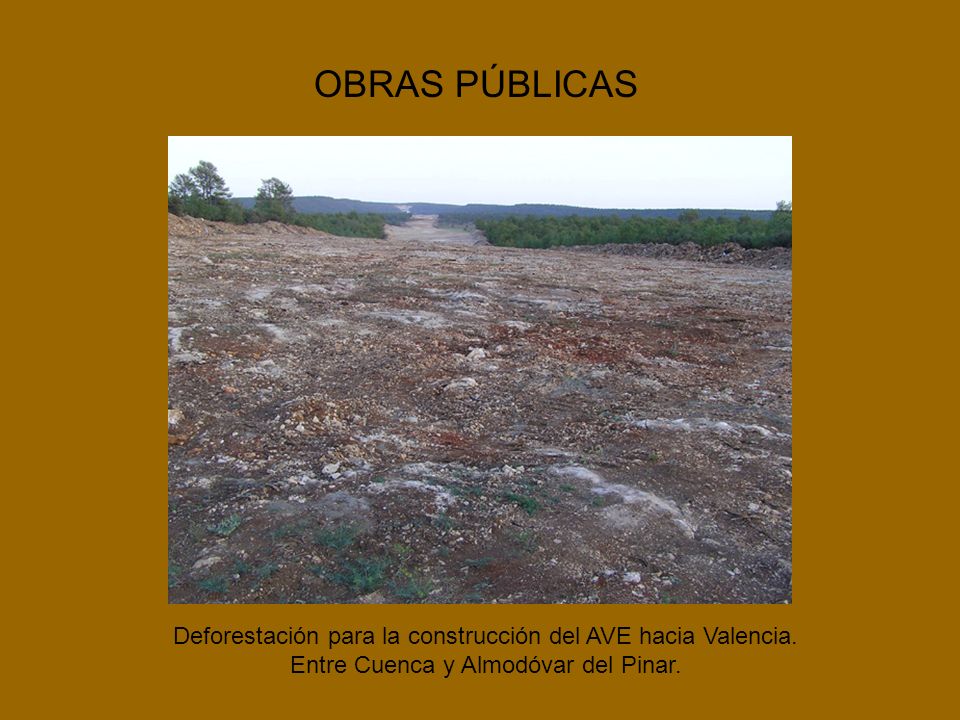 OBRAS PÚBLICAS Deforestación para la construcción del AVE hacia Valencia.