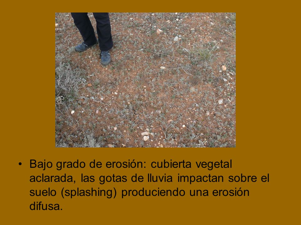 Bajo grado de erosión: cubierta vegetal aclarada, las gotas de lluvia impactan sobre el suelo (splashing) produciendo una erosión difusa.