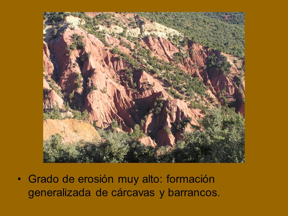 Grado de erosión muy alto: formación generalizada de cárcavas y barrancos.