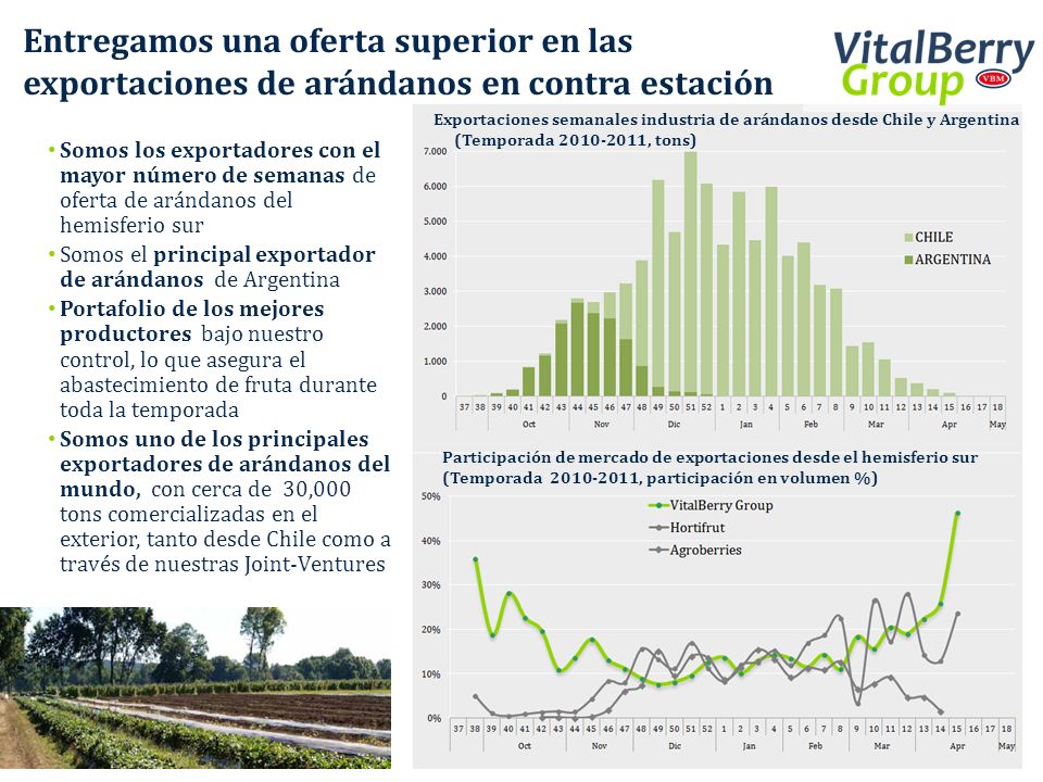 Entregamos una oferta superior en las exportaciones de arándanos en contra estación
