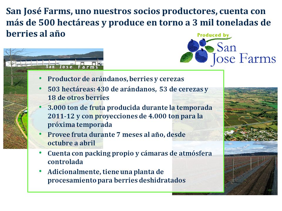 San José Farms, uno nuestros socios productores, cuenta con más de 500 hectáreas y produce en torno a 3 mil toneladas de berries al año