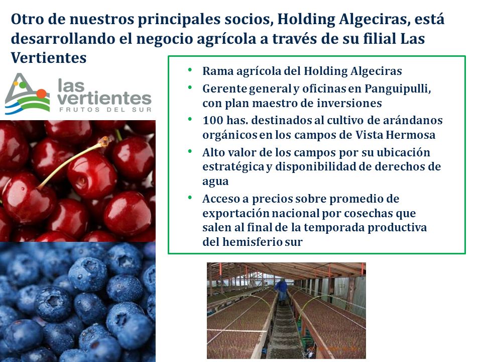 Otro de nuestros principales socios, Holding Algeciras, está desarrollando el negocio agrícola a través de su filial Las Vertientes