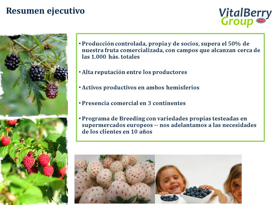 Resumen ejecutivo