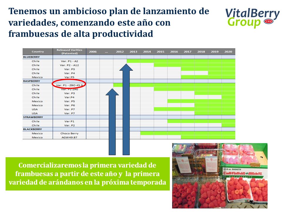 Tenemos un ambicioso plan de lanzamiento de variedades, comenzando este año con frambuesas de alta productividad