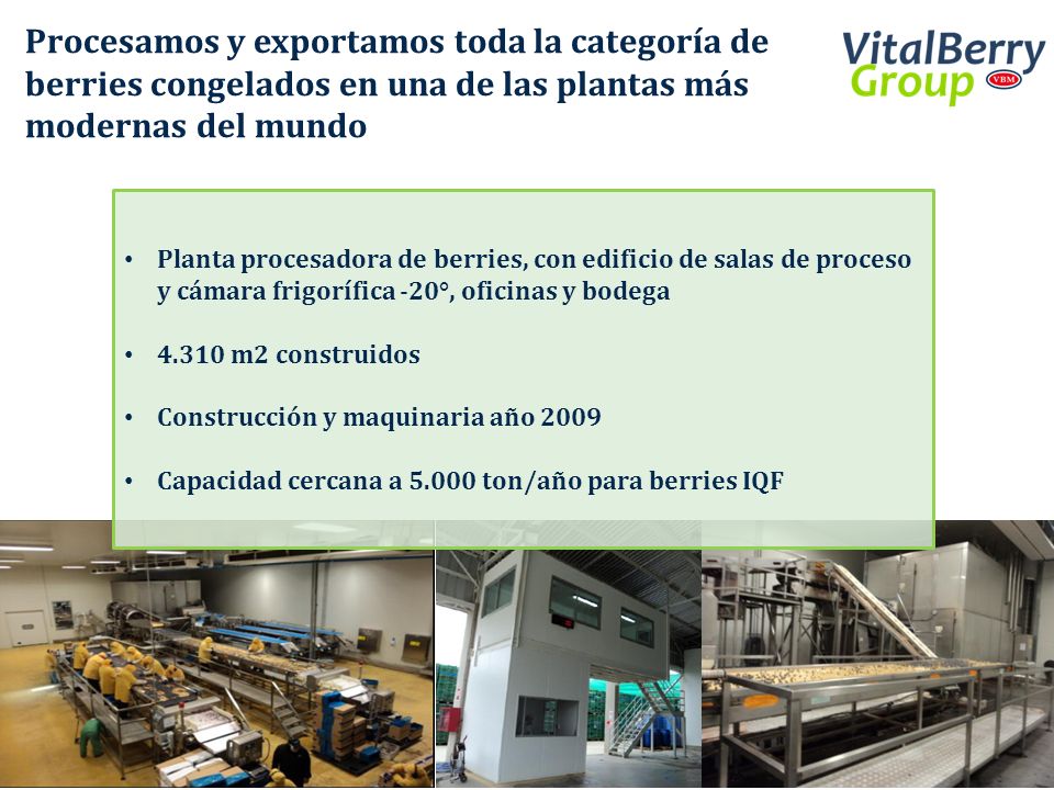 Procesamos y exportamos toda la categoría de berries congelados en una de las plantas más modernas del mundo