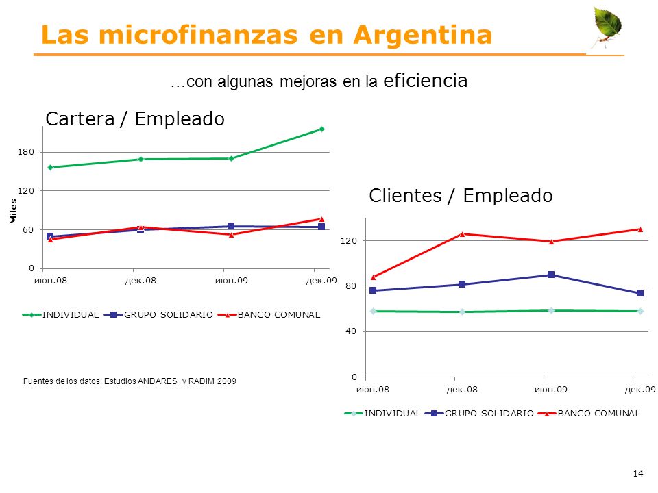 Las microfinanzas en Argentina