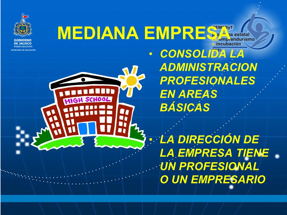 MEDIANA EMPRESA CONSOLIDA LA ADMINISTRACION PROFESIONALES EN AREAS BÁSICAS. LA DIRECCIÓN DE LA EMPRESA TIENE UN PROFESIONAL O UN EMPRESARIO.