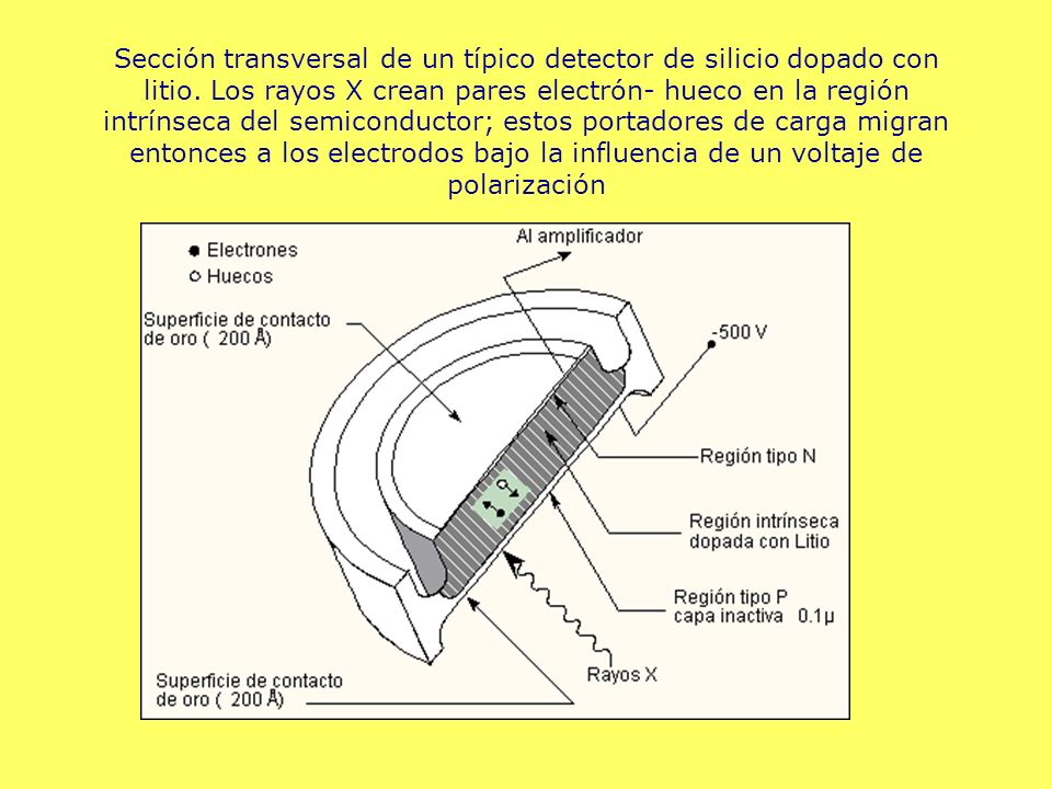 Sección transversal de un típico detector de silicio dopado con litio